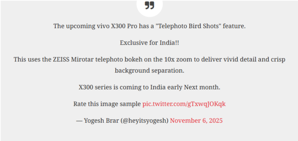 传vivo X300 Pro印度版支持超远距摄鸟 或12月发布