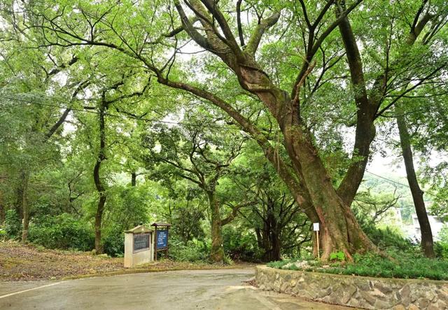 闽侯建南村刷屏！不止有网红“定居”，更有治愈的风光