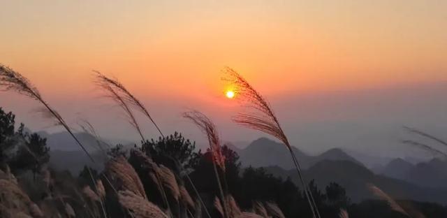 现在的黔南，已经美成这样了→