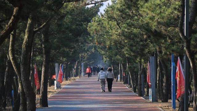 乘着高铁冬游南海 解锁宝藏旅居目的地