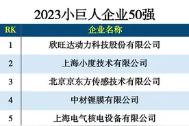 财看闪电｜山东7家上榜！2023“小巨人”企业50强发布图片