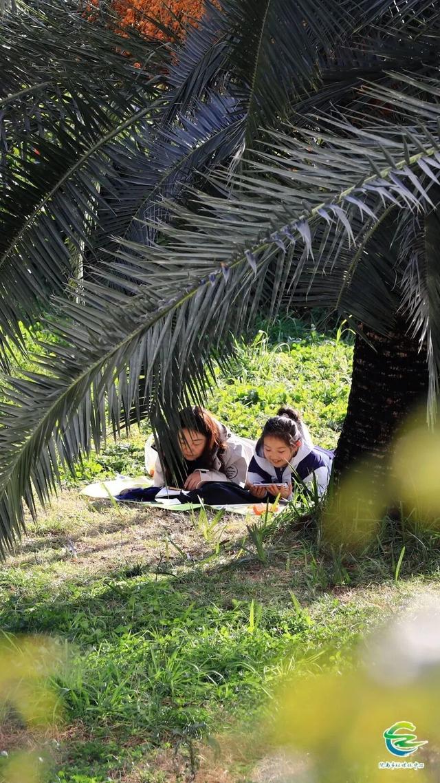 来陇南，晒太阳！
