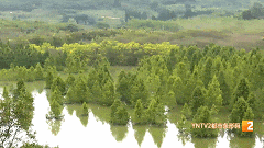 禁止入内，不要游览！昆明这个网红打卡点封闭管理