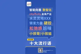 2024年十大流行语公布，“银发力量”首度入选图片