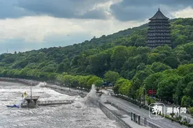 八月十八 钱塘江大潮气势磅礴图片