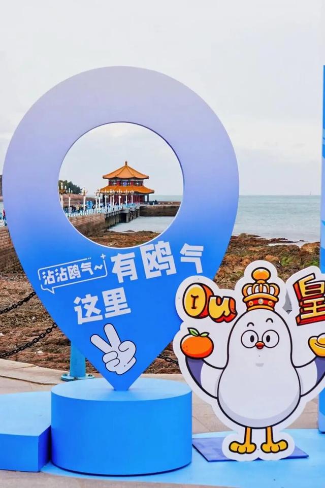 限定周边等你拿！青岛海鸥季打卡全攻略，超多玩法速看→