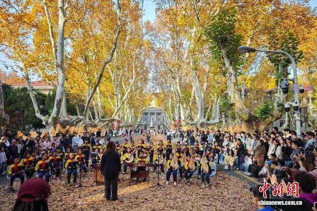 东南大学最美200米落叶景观华丽“上线”
