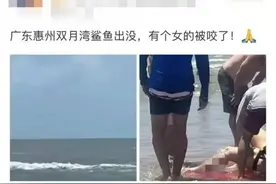 惠州双月湾有鲨鱼出没，还咬伤了人？当地回应图片