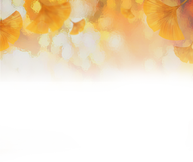 秦淮的银杏，悄悄黄了