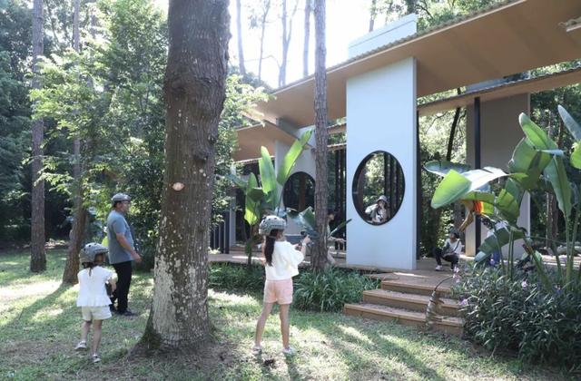 勇敢者的游戏！丛林穿越大冒险，真人CS对抗战免费玩！就在这里→