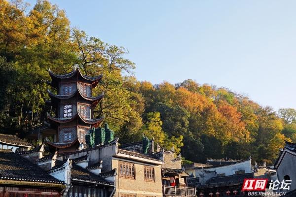 岁暖时刻丨沱江畔秋末初冬的缱绻时光