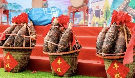 央视大片《珠江》里的花都⑤：山水滋养的田园至味