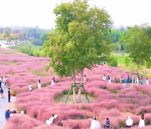 郑州人私藏的8个赏秋胜地！