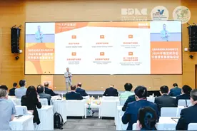 临空区大兴片区“隔空”递出国际合作“橄榄枝”，将依托大兴机场国际航线推动“沿线合作”图片