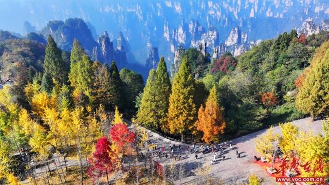 赏秋正当时！湖南登山赏景攻略来了