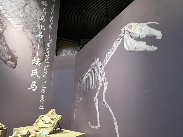 “黄河远上”第一站：临夏也可以“出售绿水青山”