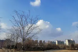重点推荐|会飞的春天（大散文）图片