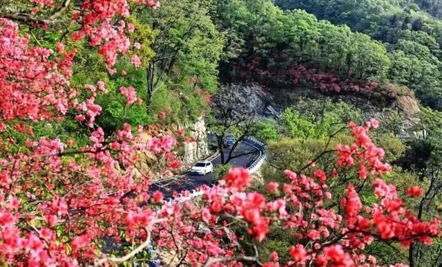 “7”见钟情 春在六安