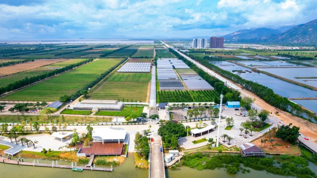 跟着赛事游新会！江门新会打造4条农文旅旅游线路