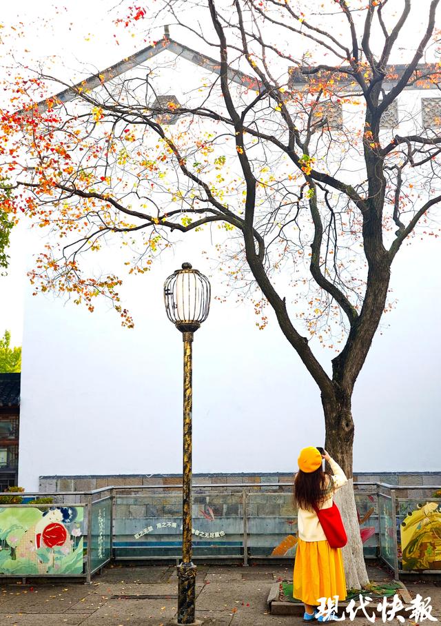 白墙黛瓦映乌桕，南京老门东的秋日中式浪漫美成壁纸