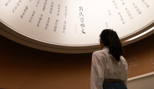 站前广场新盖一座小亭子，秋日出游更丝滑～