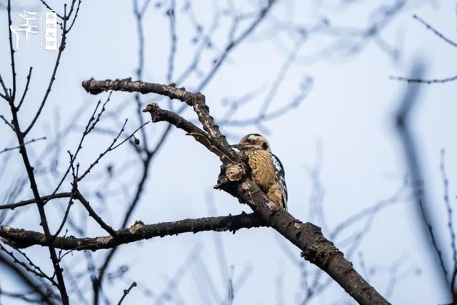 秦淮citywalk｜七桥瓮湿地公园