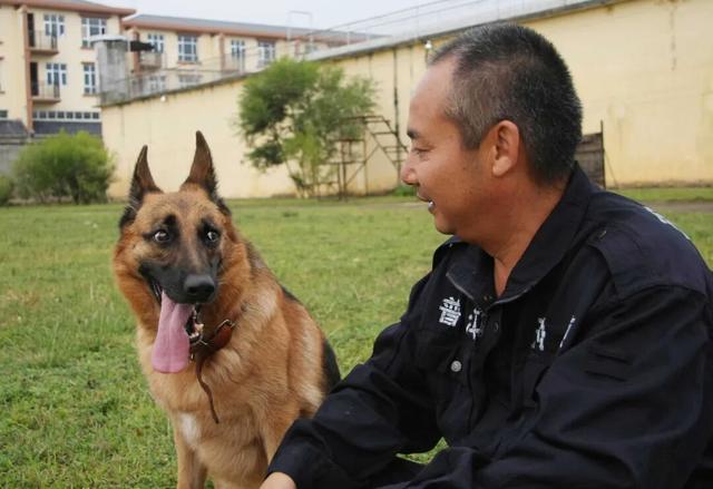 二级英模！功勋犬训导员！
