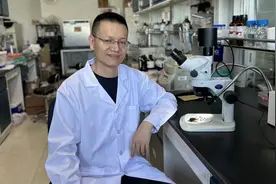 为何普通玉米做不出爆米花？农大团队解开爆裂玉米基因密码图片