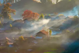 夯吉金寨茶农，赶时间的人图片