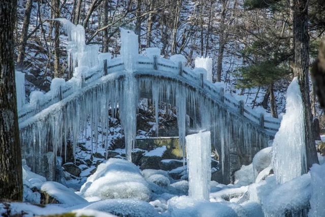@南方小土豆！白云山免票福利来啦！邀你一起来看雪！