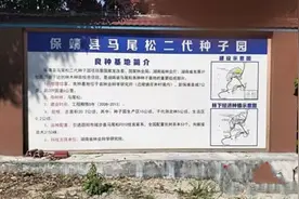 《湖南省省级重点林木良种基地管理办法》印发  我省将动态评定重点林木良种基地图片