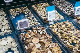 青岛海鲜市场迎来小海鲜丰收季 贝类海产销量激增图片
