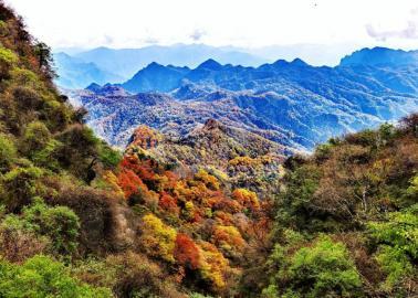 为有秋色赋人间