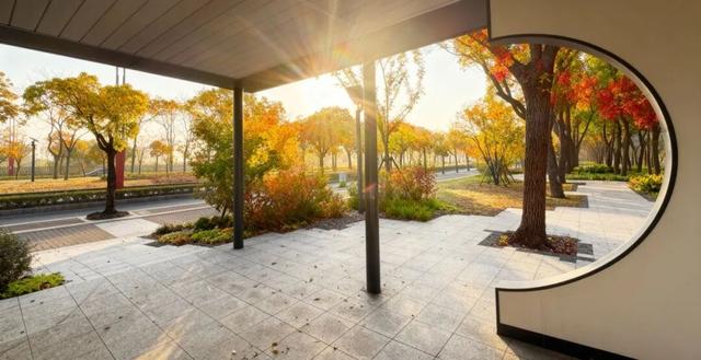 周末好天气，来闵行这些公园遇见最美秋色！