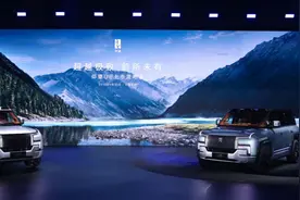 谁为“仰望”买单？图片