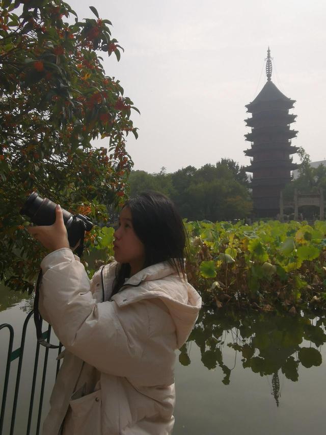 晚潮｜深秋，总要看场菊展吧