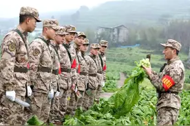 你吃到的“涪陵榨菜” 可能出自重庆武警官兵之手！图片