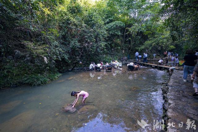 咸宁观察  |  野生溪流变网红景点  咸宁溯溪戏水火出圈