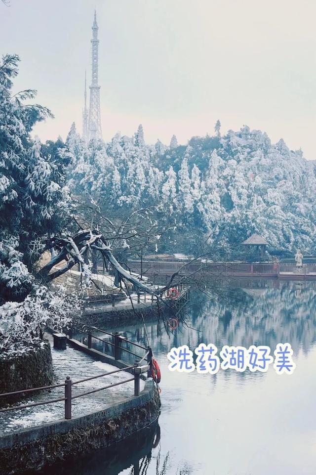 向云端，17分钟，这条云端索道全攻略来啦！