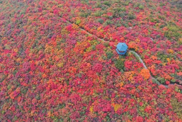 周末出发！河南最美彩色地图上线