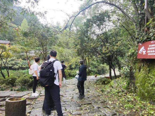 武当山逍遥谷：猕猴与游客共享和谐生态