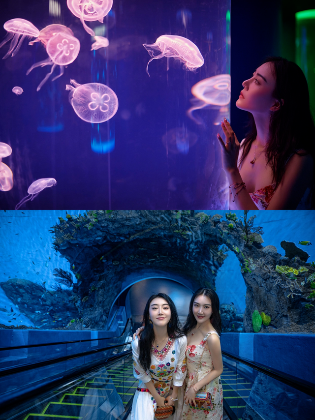 这个秋冬，不妨来陵水邂逅一片蔚蓝