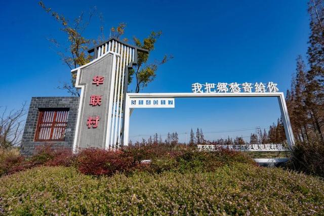 美丽农村路 | 荷美水乡，古韵潮玩！秀洲这条11.5公里的公路，串起千年运河与美丽乡村