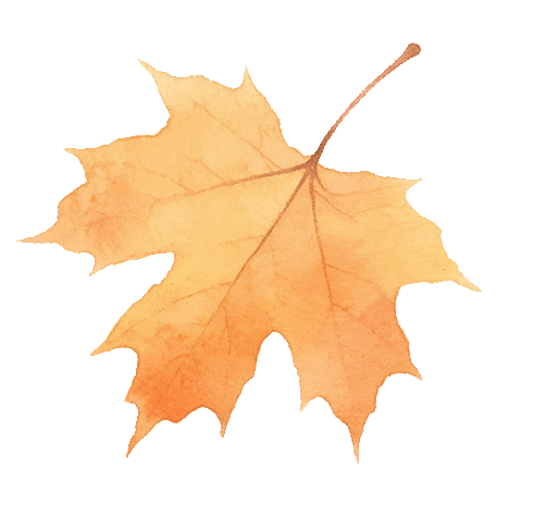 这个元旦假期，把时光“浪费”在秦淮最美的园子里~