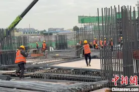 （新春走基层）近500名建设者坚守一线 新建佛山站项目建设正酣图片