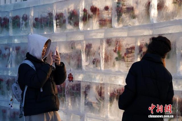 黑龙江哈尔滨：“冰封玫瑰”限定回归