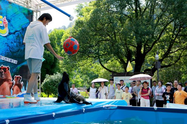 立秋还是热热热？张家界这些清凉景点最低16 ℃，甚至要穿外套！