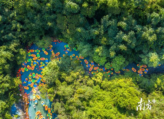 广东省国学学会会长王焱解码清远疗愈经济｜智库视点