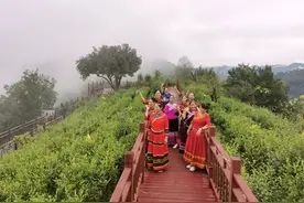 西林县文旅融合推动旅游业转型升级图片