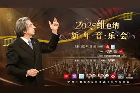 过瘾！2025年维也纳新年音乐会曲目单来了图片